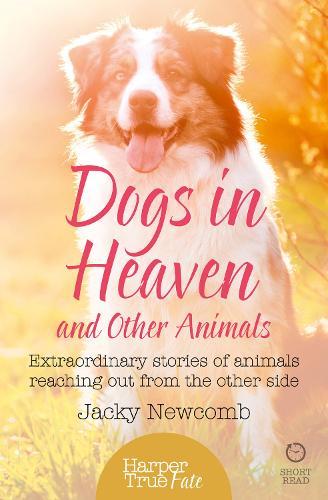 Dogs in Heaven: and Other Animals: Extraordinary Stories of Animals Reaching out from the Other Side