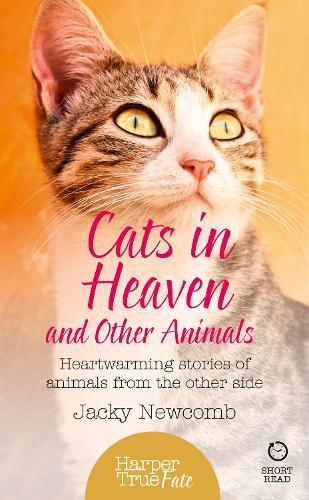 Cats in Heaven: And Other Animals. Heartwarming Stories of Animals from the Other Side.