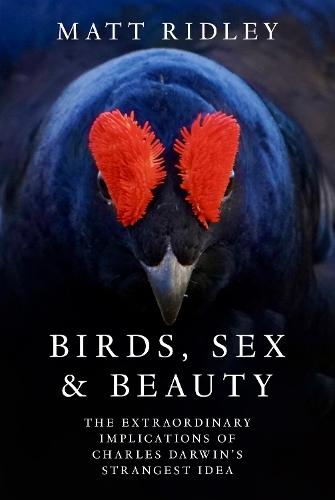 Birds, Sex and Beauty: The Extraordinary Implications of Charles Darwin’s Strangest Idea