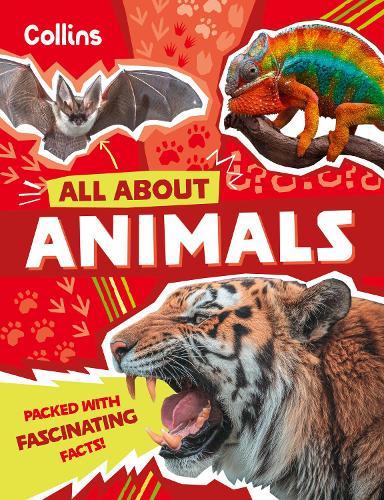 Animals: Discover Fascinating Facts About Wildlife