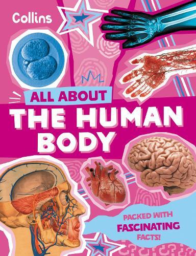 The Human Body: Discover Fascinating Facts About Our Amazing Anatomy