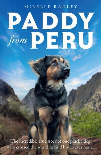 Paddy from Peru: The Incredible True Story of One Plucky Dog Who Crossed the World to Find His Forever Home