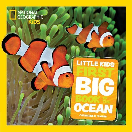 Little Kids First Big Book of The Ocean
