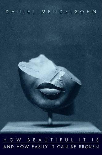 How Beautiful It Is And How Easily It Can Be Broken: Essays