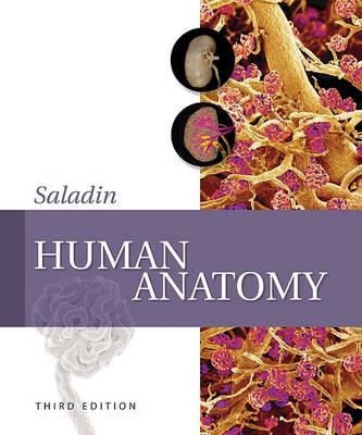Combo: Loose Leaf Version of Human Anatomy and Apr 3.0 Online Access Card