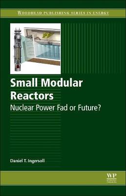 Small Modular Reactors: Nuclear Power Fad or Future?