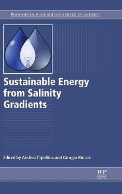 Sustainable Energy from Salinity Gradients