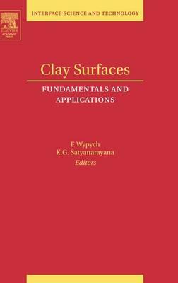 Clay Surfaces: Fundamentals and Applications