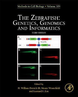 The Zebrafish: Genetics, Genomics and Informatics