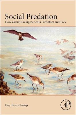 Social Predation: How Group Living Benefits Predators and Prey