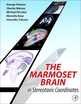 The Marmoset Brain in Stereotaxic Coordinates