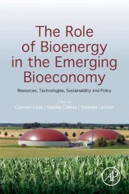 The Role of Bioenergy in the Emerging Bioeconomy: Resources, Technologies, Sustainability and Policy