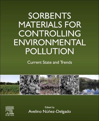 Sorbents Materials for Controlling Environmental Pollution: Current State and Trends