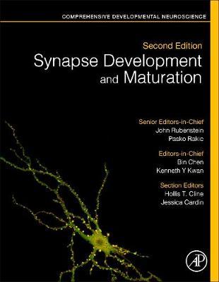 Synapse Development and Maturation: Comprehensive Developmental Neuroscience