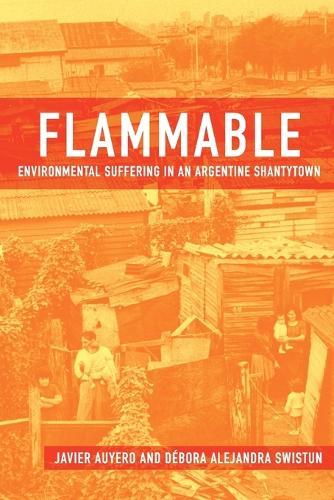 Flammable: Environmental Suffering in an Argentine Shantytown