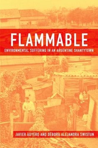 Flammable: Environmental Suffering in Argentine Shantytown