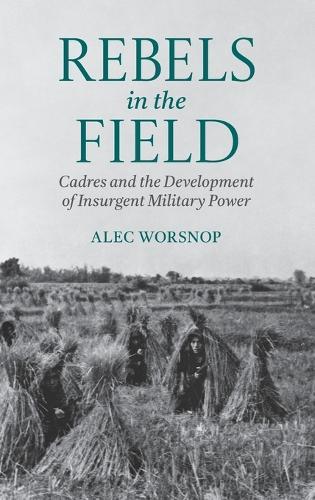 Rebels in the Field: Cadres and the Development of Insurgent Military Power