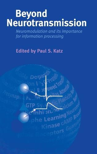 Beyond Neurotransmission: Neuromodulation and its Importance for Information Processing