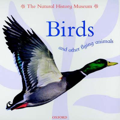 Birds and Other Flying Animals