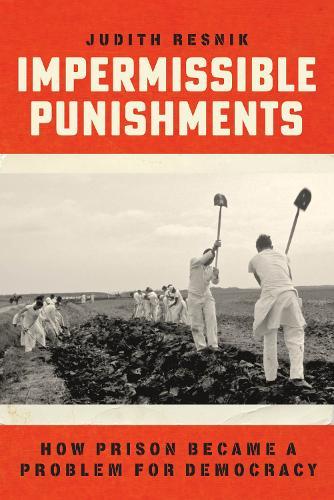 Impermissible Punishments: How Prison Became a Problem for Democracy