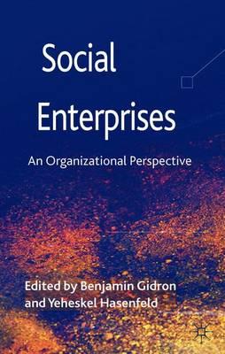 Social Enterprises: An Organizational Perspective