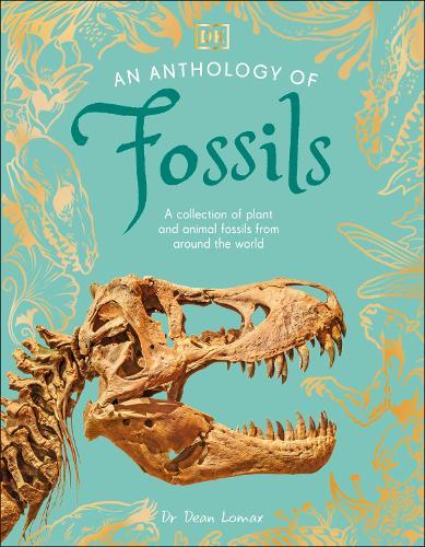 An Anthology of Fossils: A Collection of Plant and Animal Fossils From Around the World