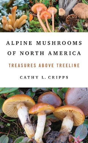 Alpine Mushrooms of North America: Treasures Above Treeline