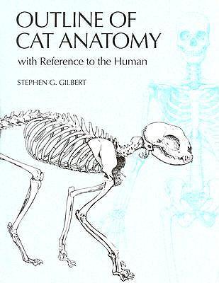 Outline of Cat Anatomy with Reference to the Human