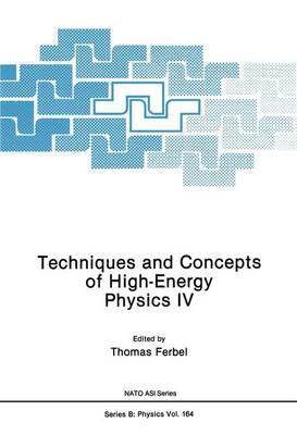 Techniques and Concepts of High-Energy Physics IV