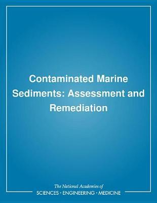 Contaminated Marine Sediments: Assessment and Remediation
