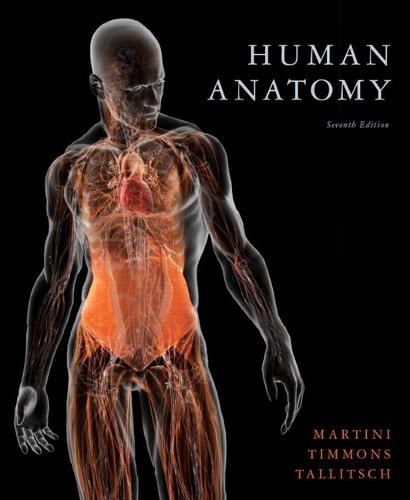 Human Anatomy