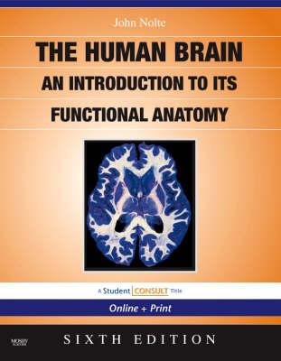 The Nolte's the Human Brain: An Introduction to its Functional Anatomy