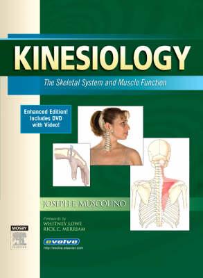 Kinesiology: The Skeletal System and Muscle Function