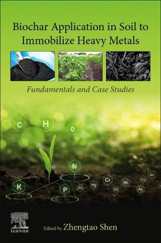 Biochar Application in Soil to Immobilize Heavy Metals: Fundamentals and Case Studies
