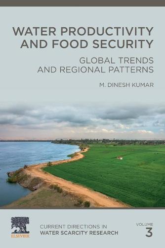 Water Productivity and Food Security: Global Trends and Regional Patterns