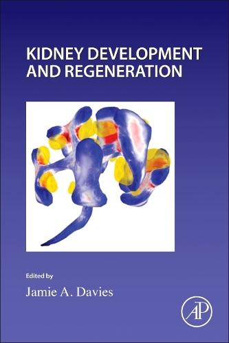 Kidney Development and Regeneration