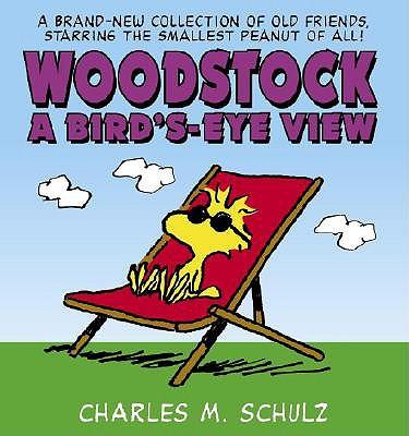 Woodstock a Bird's-Eye View