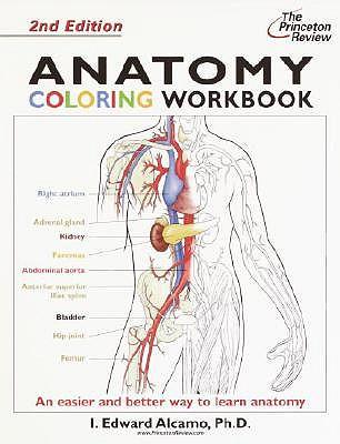 Anatomy Coloring Workbook