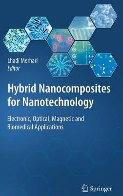 Hybrid Nanocomposites for Nanotechnology: Electronic, Optical, Magnetic and Biomedical Applications