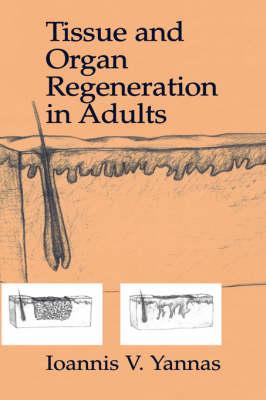 Tissue and Organ Regeneration in Adults: Synthesis of Skin and Peripheral Nerves