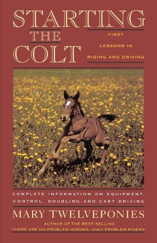 Starting the Colt: The First Two Years of Your Horse's Life