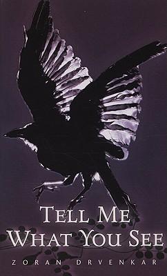Tell Me What You See