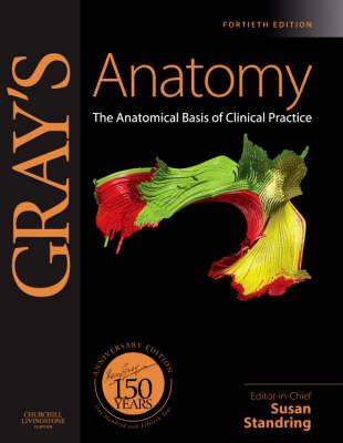 Gray's Anatomy: The Anatomical Basis of Clinical Practice