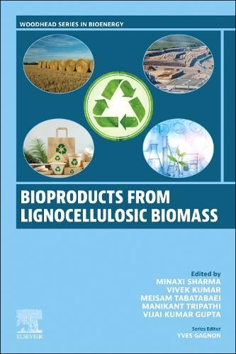Biofuels and Bioproducts from Lignocellulosic Materials: Vol 1: Bioproducts