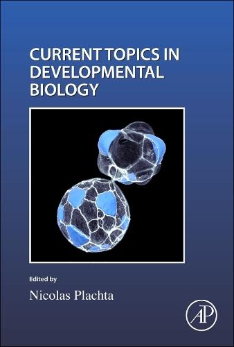 Cell Shape and Position during Development