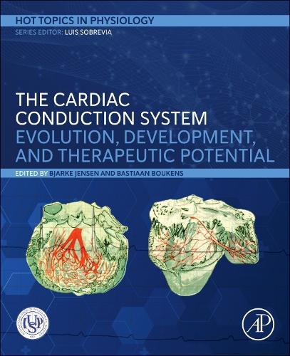 The Cardiac Conduction System: Evolution, Development, and Therapeutic Potential