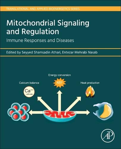 Mitochondrial Signaling and  Regulation: Immune Responses and Diseases