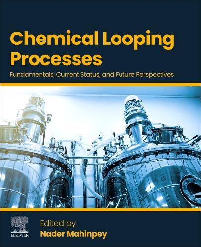 Chemical Looping Processes: Fundamentals, Current Status, and Future Perspectives