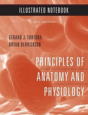 Principles of Anatomy and Physiology: Illustrated Notebook