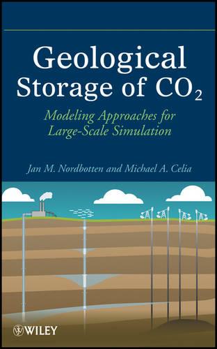 Geological Storage of CO2: Modeling Approaches for Large-Scale Simulation